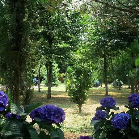 Quinta Outeiro Da Luz Village de vacances *