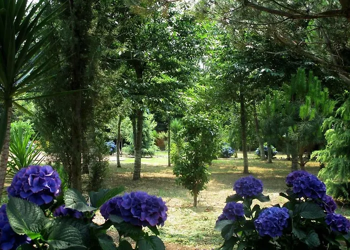 Quinta Outeiro Da Luz Vakantiepark *