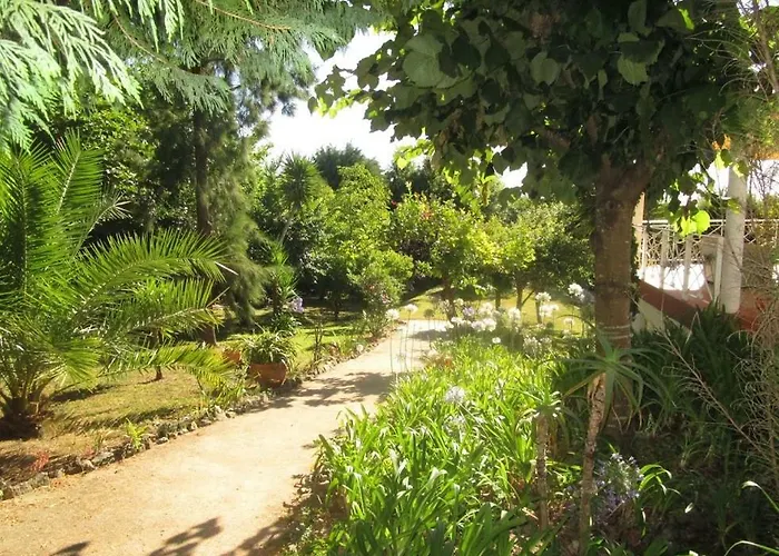 Quinta Outeiro Da Luz *